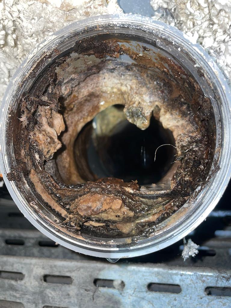 Avant curage canalisation bouchée - Débouchage IDF